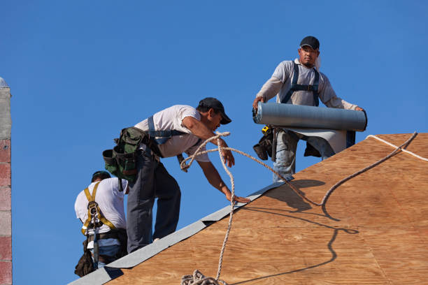Best Gutter Installation and Roofing  in South Gate Ridge, FL